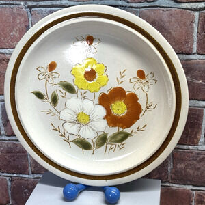 1 Daniele Collection Dinner Stoneware Plate Platter Trailride Pattern Japan 1970